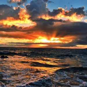 Meet your Posher, Kamryn